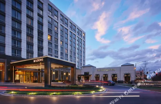 洛伊斯芝加哥奧黑爾酒店