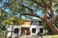 Wuyuan Yousuo Qiaotou Hotel - واي فاي