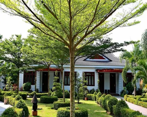 Forever Green Resort Hotels in Chau Thanh