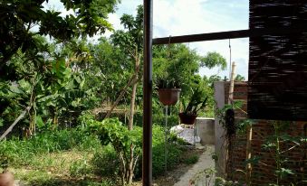 Van Long Family Homestay