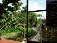Van Long Family Homestay Hotels in Gia Van