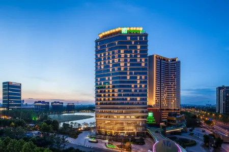 Holiday Inn Nanjing Qinhuai South Отели рядом с достопримечательностью «Communication University of China, Nanjing»