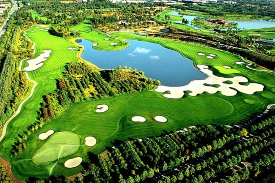 Golden Elephant Hotel Hotel Overview