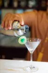 Gold Coast Hotel Resort & Spa - bar
