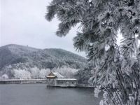 庐山阳光家庭旅舍 - 酒店外部