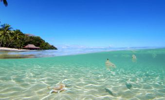 a clear blue sky above a body of water with sandy shore and lush vegetation at The Wakaya Club & Spa