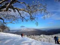 雪乡二浪河蒋春霞家庭旅馆 - 其他