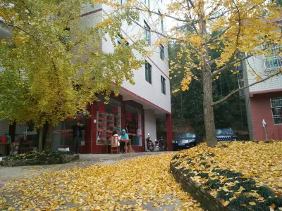Wang Xing Hotel Hotels near Pingtian Ginkgo Township