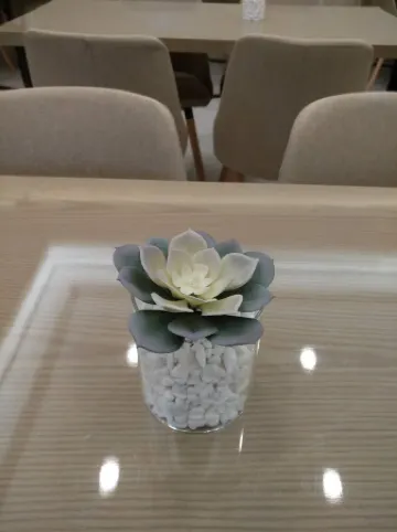 Starway Hotel (Ningde Wanda)