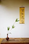 武夷山不知春齋民宿 三姑リゾート周辺のホテル