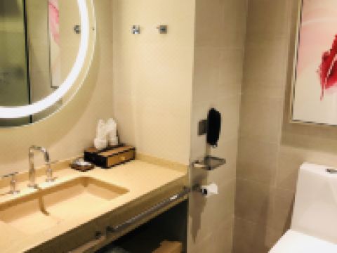 麗枫酒店(郑州经开区国际物流园方特店) - 商务大床房