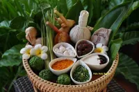 HULA HULA RESORT l truly tropical and fun wellness - spa