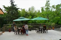 Chongqing Xinyue Homestay - agroturismo​