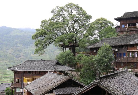 西江贵赏·倚山民宿外景图