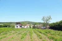 Forest Yard Guesthouse