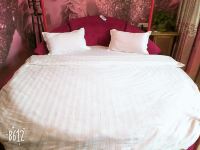 莱西海英旅馆 - 浪漫电动红床主题房