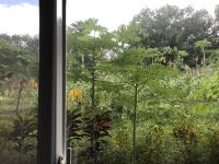 万宁兴隆好鸟咖啡庄园主题民宿 - 公寓双人间