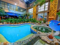聊城阿尔卡迪亚国际温泉酒店 - 室外游泳池
