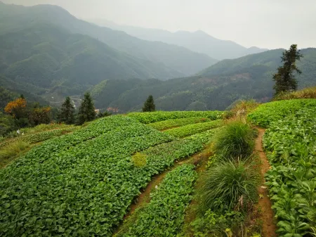 7thinn Отели рядом с достопримечательностью «Huangshan College (South to Jiari Apartment)»