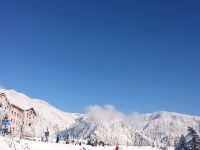 西岭雪山枫叶酒店 - 标准间