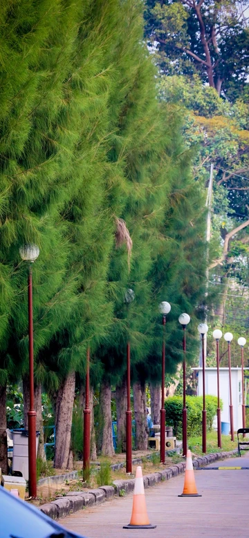 รูปภาพของโรงแรมเวียงวลี