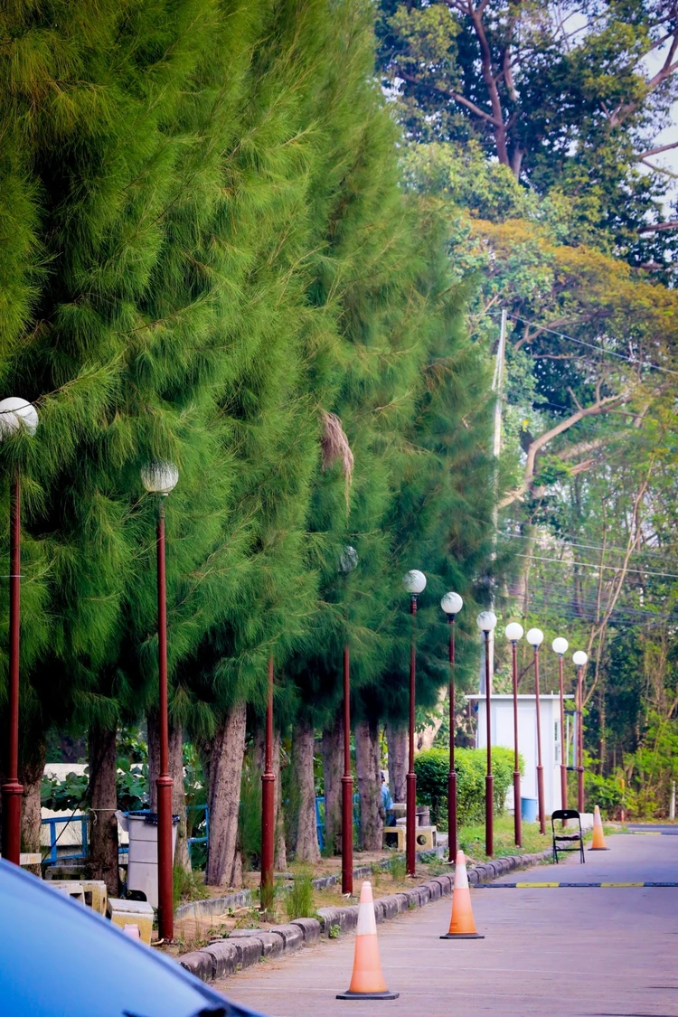 รูปภาพของโรงแรมเวียงวลี