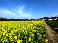 婺源春田拾房民宿 - 其他