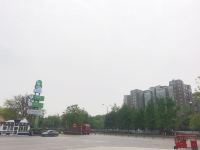 成都菁华花园酒店 - 酒店景观