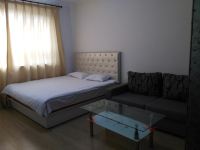 牡丹江城市杰座玫瑰公寓 - 精致精装一室大床房