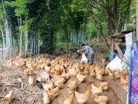 Three li long gorge lake house