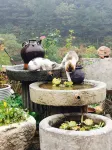 Youjian Yijing Hotels near Bamudi Village