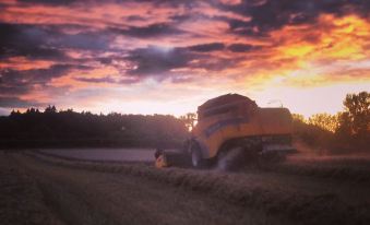 a large yellow truck is driving down a dirt road with a beautiful sunset in the background at Moor Court Farm