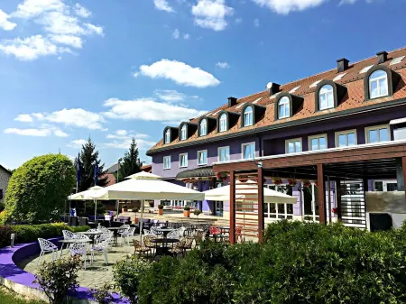 Hotel Phoenix Отели в г. Сесвете