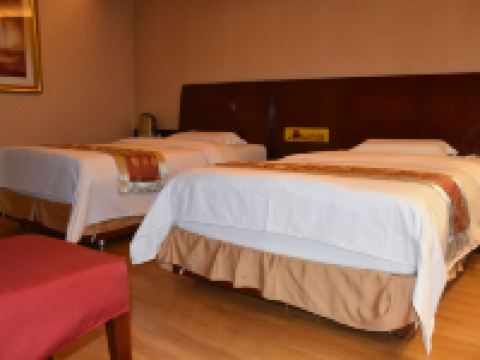 康乐星海宾馆 - 豪华标间