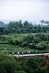 Mingyue Yingyuan Hostel - Mountain view