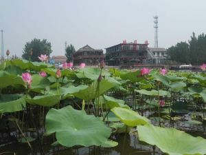 Weishan Yingyuelou Hotel