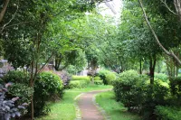 Hollyear Hotel Hotels in Dao County
