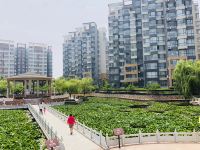 房朵朵民宿(龙口林海路店)