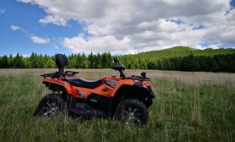 LinYuan Fashion Hotel