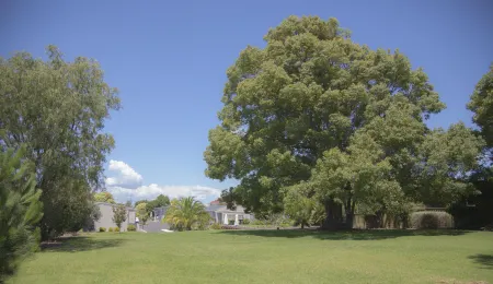 Sylvia Park Motel Отели рядом с достопримечательностью «Стадион Маунт смарт»