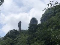 金佛山泗宏山庄 - 酒店景观