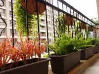 Douzi Home Hotel โรงแรมใกล้คาสเตลลาแลนด์