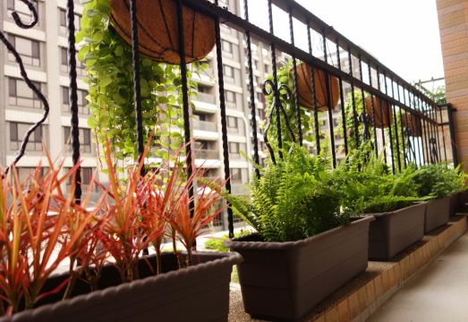 Douzi Home Hotel 외관