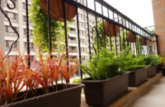Douzi Home Hotel