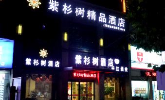 Yew Tree Boutique Hotel (Zhenping Railway Station County Hospital)