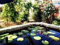 蔚縣暖泉興合賓館