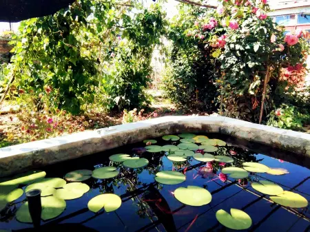 XINGHE HOTEL Отели рядом с достопримечательностью «Beiguanpucun»