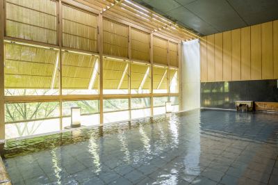 屋内プール 鬼怒川温泉ホテルの写真