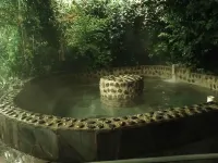 Fuyuan Hotel - Thermen