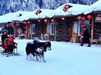 雪乡二浪河文强农家 - 酒店附近